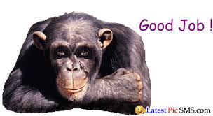 Https Encrypted Tbn0 Gstatic Com Images Q Tbn 3aand9gcs9t5l0cozsygv 8s9uldbl3xmanzdw Byowg Usqp Cau