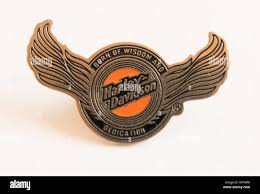Image result for harley davidson wing