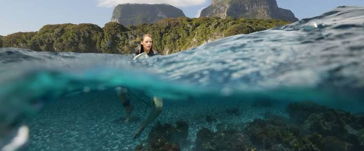 The Shallows movie review & film summary