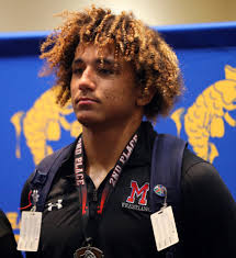 Here is the Herald-Tribune 2024 All-Area Wrestling Team