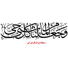 السؤال ما الفرق بين وجعلنا من الماء كل إعجاز القرآن الكريم فأت وا ب س ور ة م ن م ثل ه Miracles Of The Quran فيسبوك