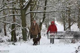 499 Chase Cartwright Stock Photos, High-Res Pictures, and Images