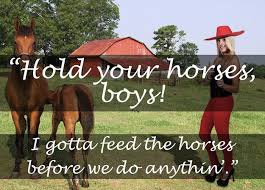Hold Your Horses Sayings Phrase Hold On