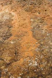 It has become more popular as a potting soil ingredient since it has better water retention than peat moss and resaturates much easier as well. Why Is My Garden Soil Turning Bright Orange