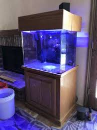 I had no aquarium experience whatsoever, stockhausen said. Used Aquarium Equipment Marine Aquariums And Coral Reef Aquarium Tank Stand Canopy And Aquarium Filter System