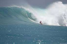 Urca, le bureau virtuel est l'environnement numérique de travail personnalisé des étudiants et des personnels de l'urca. Urca Do Tubarao Diario Do Avoante