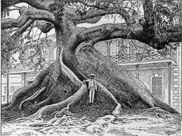 Maybe you would like to learn more about one of these? Ceiba