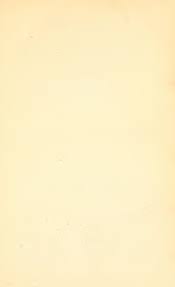 Image result for Pittosporum fulvotomentosum