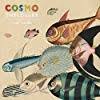 Birthday Suit Cosmo Sheldrake Lyrics Meaning Page 2 Of Come Along Lyrics Meaning