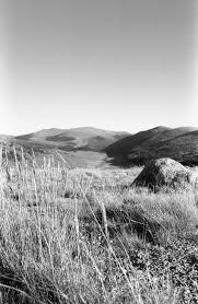 35mm Black And White Film Photography Top 10 Black White Negative 35mm Film Stocks Filtergrade Film Photography 35mm Film Photography 35mm Film