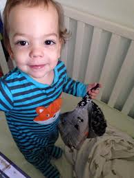 Beth Pelletier (@gracefuloctopus)