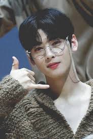 Cha eun woo fans