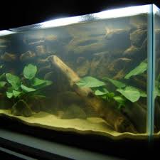 Also, what rocks are safe for fish tanks? Sand In Aquariums Benefits Of Using Sand In Your Fish Tank Pethelpful