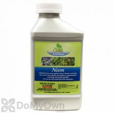 Impatiens, fuchsias, hibiscus and some roses, trees like maples, hickories or. Neem Oil Concentrate Neem Oil Spray 70 Neem Oil Free Shipping