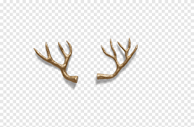 Get christmas hats, reindeer antlers, santa hat, holiday bandanas and christmas head bands. Reindeer Antlers Png Images Pngegg