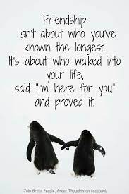 Great friendships are harder to build, but i have found all these and more in you. Friendship Quote Friends Quotes Bff Quotes Best Friend Quotes