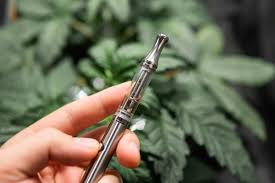 Between the scanners, profiling, stress recognition equipment and whatever. Everything You Need To Know About Thc Vape Pens