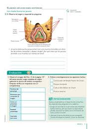 Cuaderno de trabajo con actividades y ejercicios por aprendizaje esperado de geografía de sexto grado y de apoyo a los libros de texto sep. Cuaderno De Geografia En La Pagina 71 De 6to Grado Cuaderno De Geografia En La Pagina 71 De 6to Grado Hacer Un Listado En El Cuaderno Con Los Componentes
