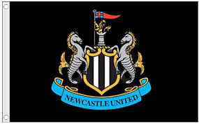 If you are creating your own logo make sure the image is in png format and 256 x 256 pixels. Newcastle United Fc Flagge Mit Wappen Einheitsgrosse Schwarz Amazon De Sport Freizeit