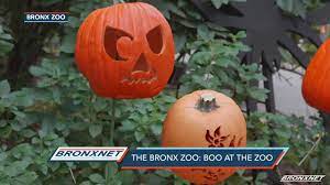 The Bronx Zoo Boo At The Zoo Youtube