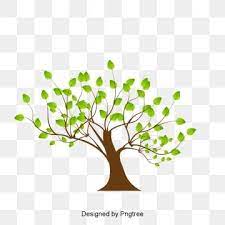 Tree Tree Clipart Cartoon Tree Vector Tree Png Transparent Clipart Image And Psd File For Free Download Cartoon Trees Vector Trees Tree Clipart