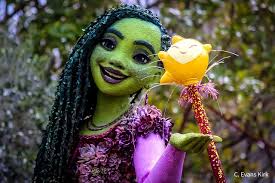 Capturing the Magic: Disney's Photographers