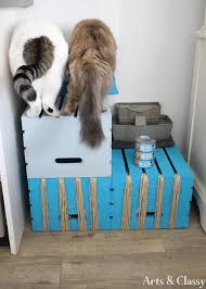 Check spelling or type a new query. Diy Cat Feeding Station Tutorial Arts And Classy