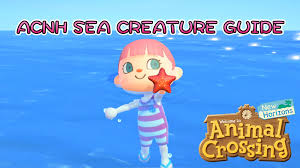 New horizons switch (acnh) guide on sea pig. Animal Crossing New Horizons Sea Creatures List Capture Period Catch Time Prices In Northern Southern Hemisphere