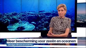 Alle programma's en reportages van vrt nws vind je ook op vrt nu. Zo Collegiaal Is Het Journaal De Standaard Mobile