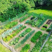 there are different types of garden and you can plant anything and everything you want gard design de jardin potager faire un jardin jardin potager