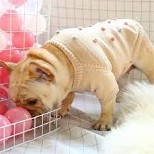 dog hoodie sweater personalized dog sweater pet clothing etsy 2021 hayvan giysileri kopek hayvan