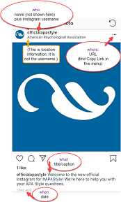 Apa Style Blog How To Cite Instagram In Apa Style