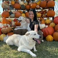 Maria Doan - AAA Auto Club Enterprises | LinkedIn