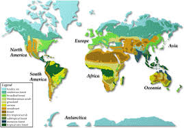 Each region climate, vegetation, & wildlife diagram vegetation zones by freezyninja999 on emazeclimate and vegetation how do climate and vegetationvegetation regions of africa : World Vegetation Regions World Geography And Civilizations Term 1