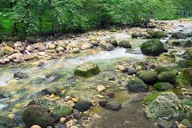 Motel Qoo Salman Shahr Motel Nature