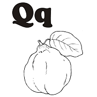 Let me personalize them by glittering the stem (with the glitter color of your choice), putting their first name. Q Is For Quince Coloring Pages Surfnetkids