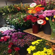 Maybe you would like to learn more about one of these? Arte Floral Pagina 4 Paginas Amarillas