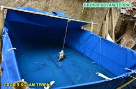 Cara Membuat Kolam Terpal Di Atas Tanah 1 Arief Terpal