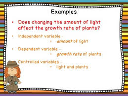 Testable Question Criteria And Activity By So Very Kerry | Tpt