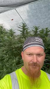 Beautiful day in the garden Cleveland OH