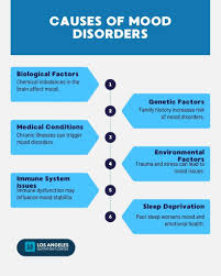 Image result for Mood Disorder