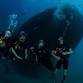 Advanced Adventurer – 2 days event in Ko Lanta District, Krabi