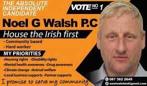 Kilkenny Observer 22 November 2024 by Kilkenny Observer