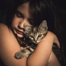 2048x2048 Cute Little Girl With Kitten Ipad Air HD 4k Wallpapers, Images,  Backgrounds, Photos and Pictures