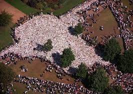Lady Diana Funeral Flowers You Don T Know How Large An Area Those Flowers Cover Unless You Ve Been There Princess Diana Funeral Diana Funeral Princess Diana
