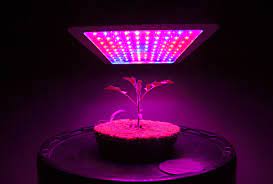 It's a small enough space to be manageable and not require. Top Led Grow Lights For Small Grow Tents Small Spaces Closets