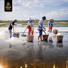 Journey from Duong Salt Grains to the Distinctive Ingredient of Hoang Gia  Fish Sauce