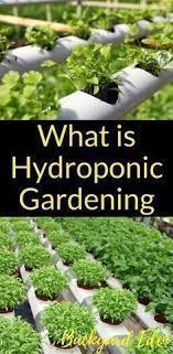 What Is Hydroponic Gardening Hydroponics Diy Hydroponics Hydroponics For Beginners I Indoor Vegetable Gardening Hydroponic Gardening Indoor Hydroponics