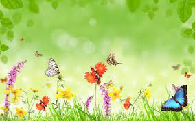 Check spelling or type a new query. Butterfly Wallpaper Butterfly Background Art Wallpaper Butterfly Wallpaper