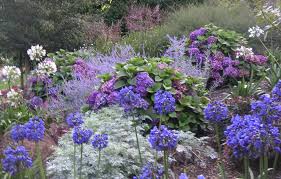 Hours may change under current circumstances Wholesale Flowers Cornwall And Devon Bj Richards Flowers